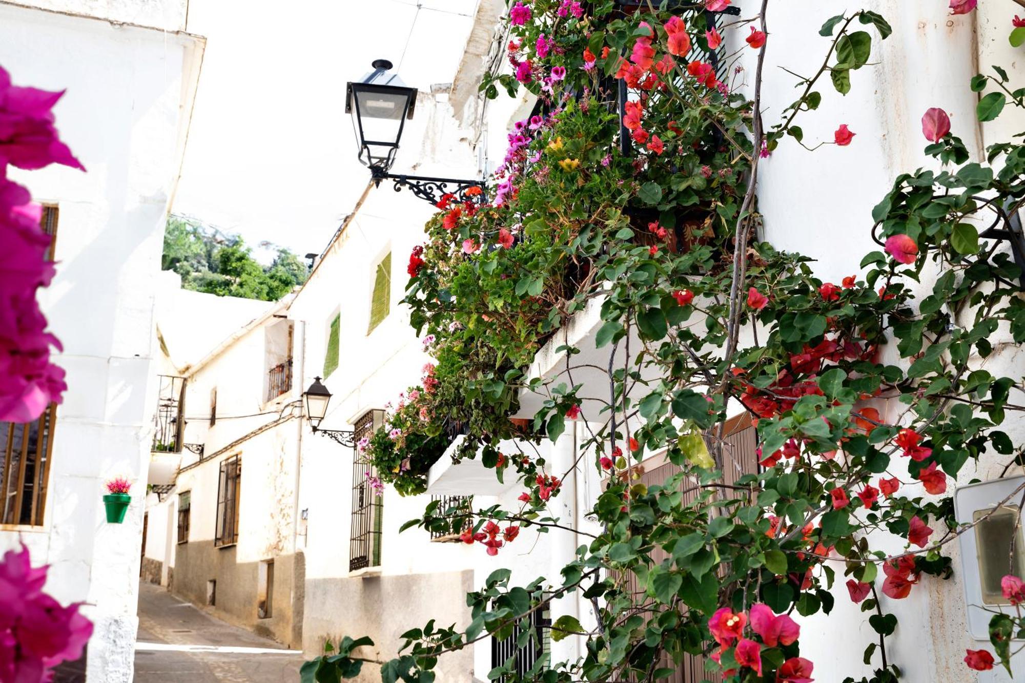 Appartement Alpujarra Relax Carataunas